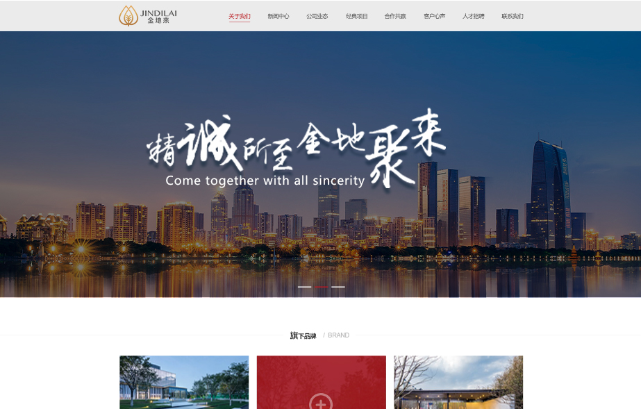 網站建設案例效果圖